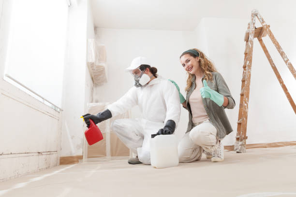 Best Mold Odor Removal Services  in USA